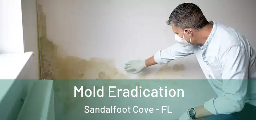  Mold Eradication Sandalfoot Cove - FL