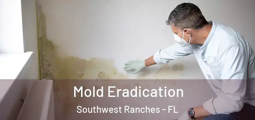  Mold Eradication Southwest Ranches - FL