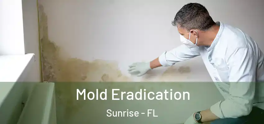 Mold Eradication Sunrise - FL
