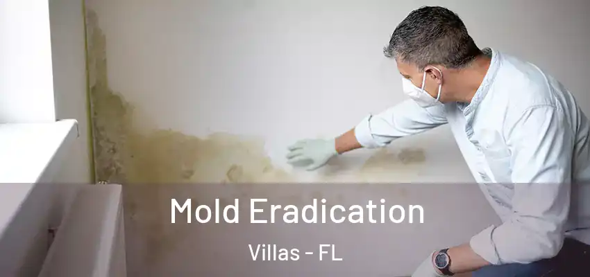 Mold Eradication Villas - FL