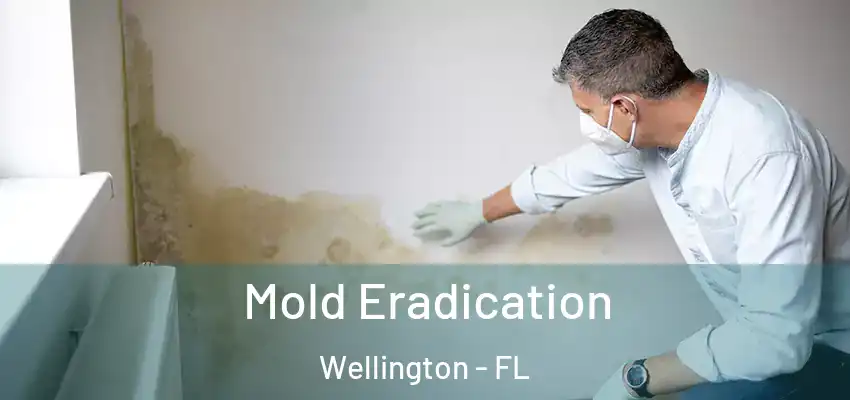  Mold Eradication Wellington - FL