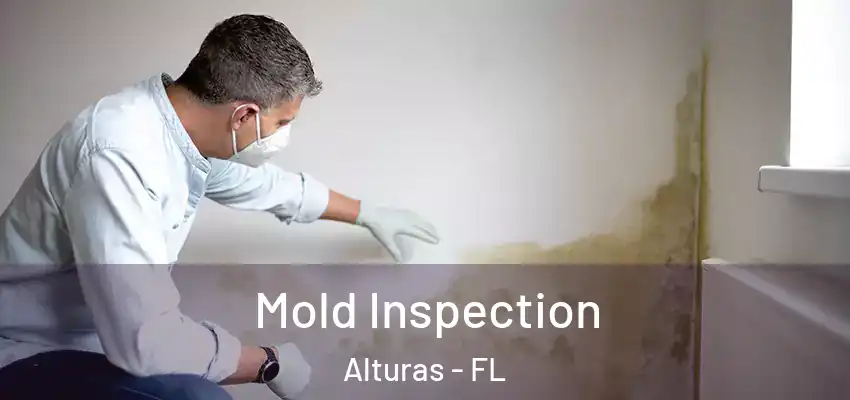  Mold Inspection Alturas - FL