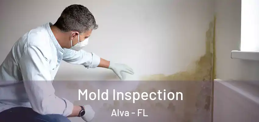  Mold Inspection Alva - FL