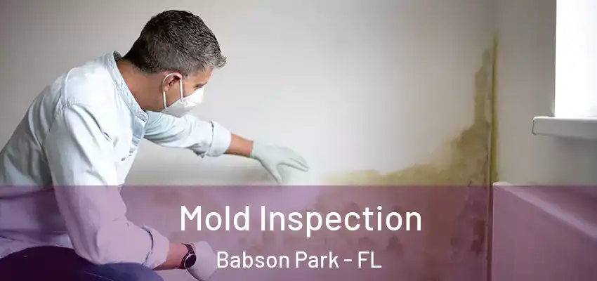  Mold Inspection Babson Park - FL