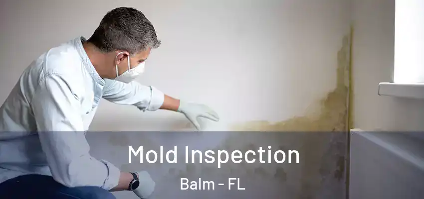  Mold Inspection Balm - FL