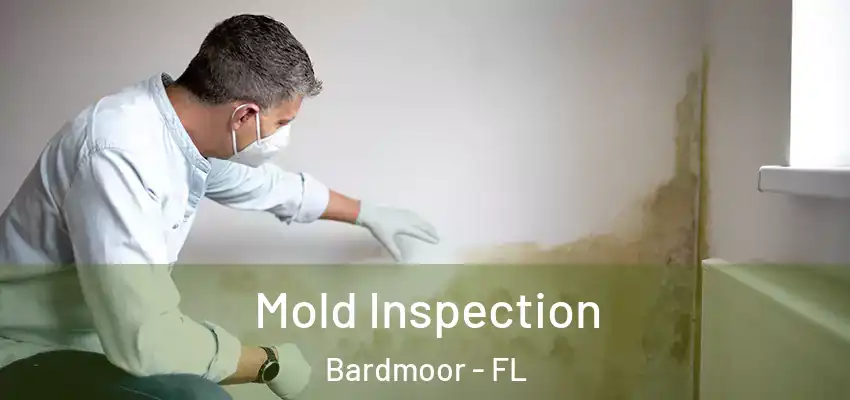 Mold Inspection Bardmoor - FL