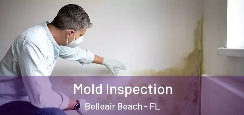 Mold Inspection Belleair Beach - FL
