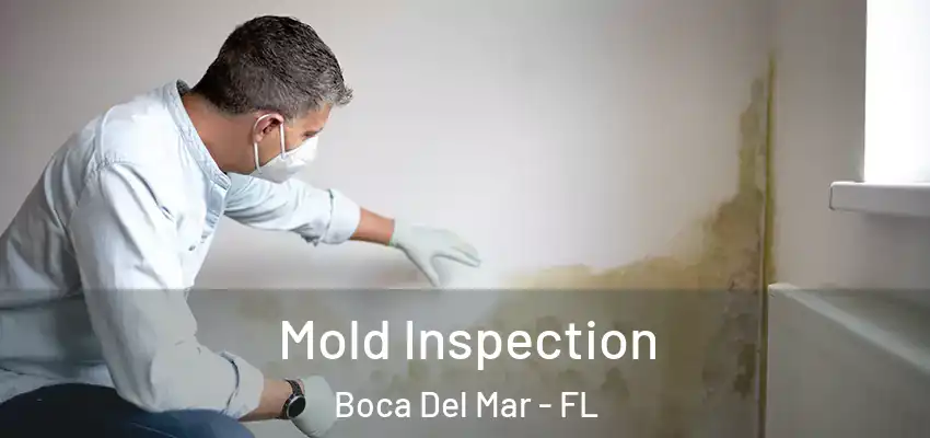  Mold Inspection Boca Del Mar - FL