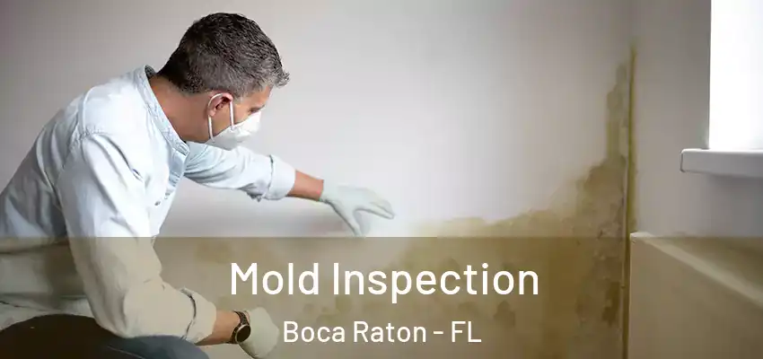 Mold Inspection Boca Raton - FL