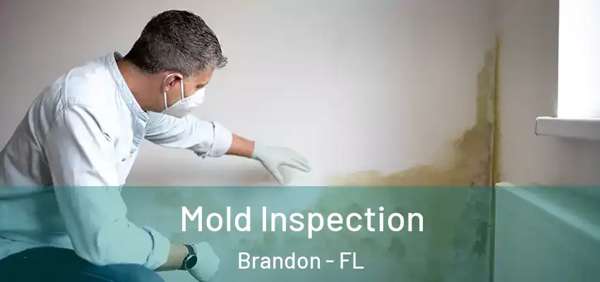  Mold Inspection Brandon - FL