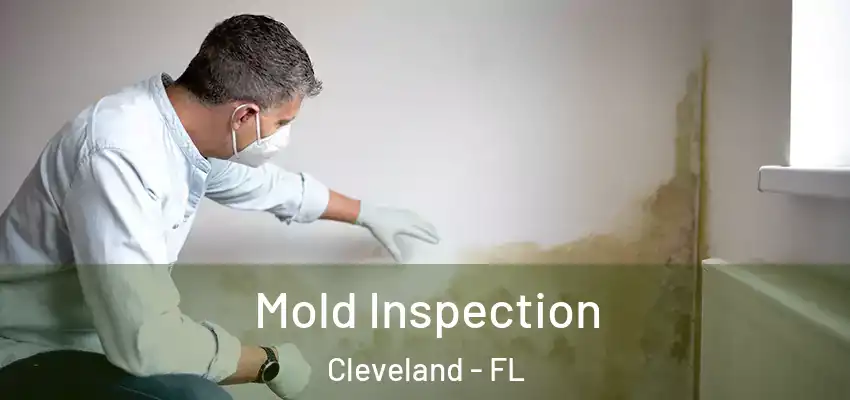  Mold Inspection Cleveland - FL