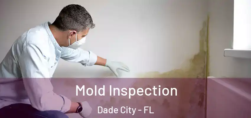 Mold Inspection Dade City - FL