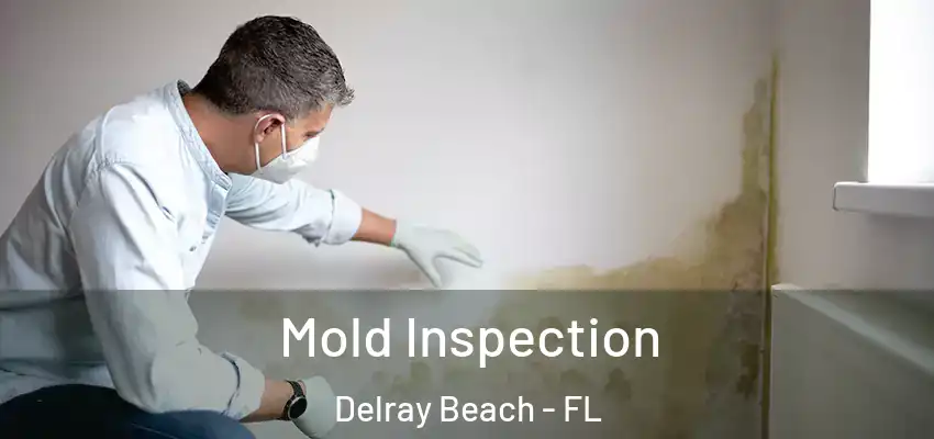 Mold Inspection Delray Beach - FL
