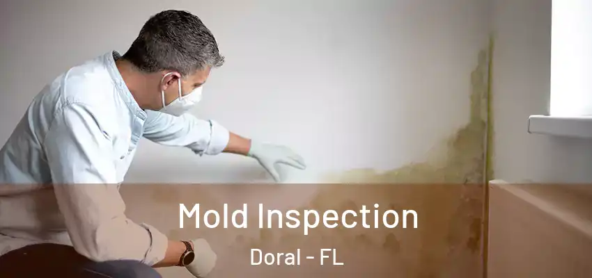  Mold Inspection Doral - FL