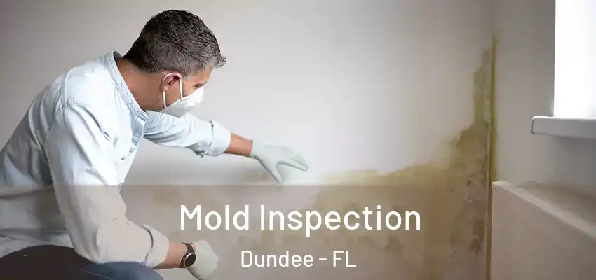 Mold Inspection Dundee - FL