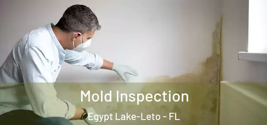 Mold Inspection Egypt Lake-Leto - FL