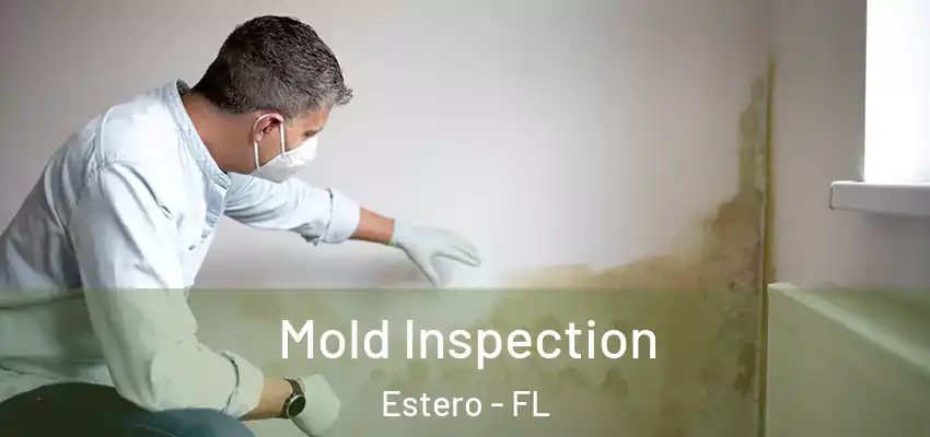 Mold Inspection Estero - FL