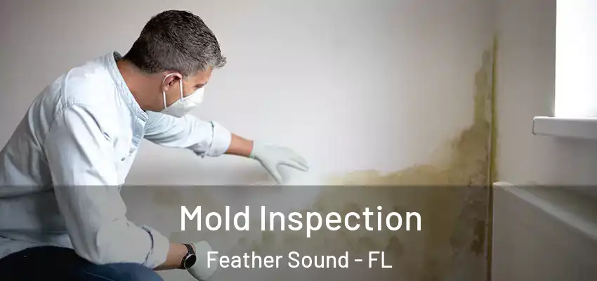 Mold Inspection Feather Sound - FL