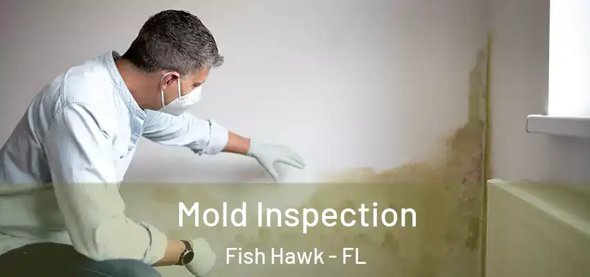 Mold Inspection Fish Hawk - FL