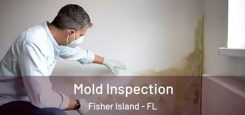 Mold Inspection Fisher Island - FL