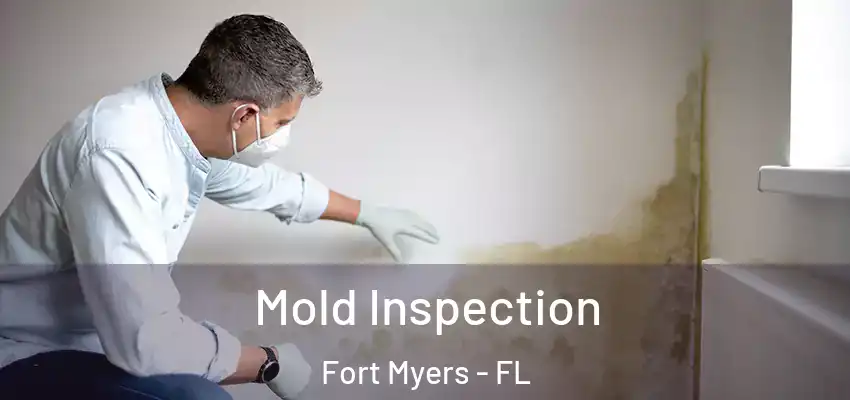 Mold Inspection Fort Myers - FL