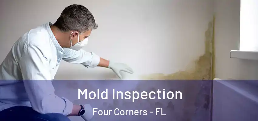 Mold Inspection Four Corners - FL