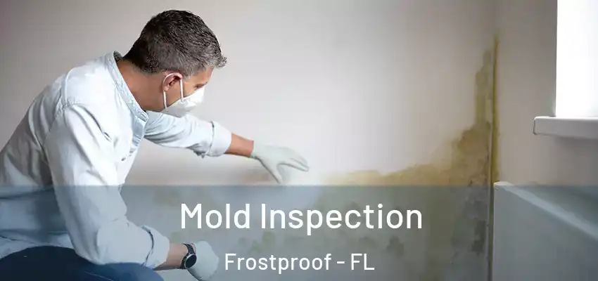 Mold Inspection Frostproof - FL