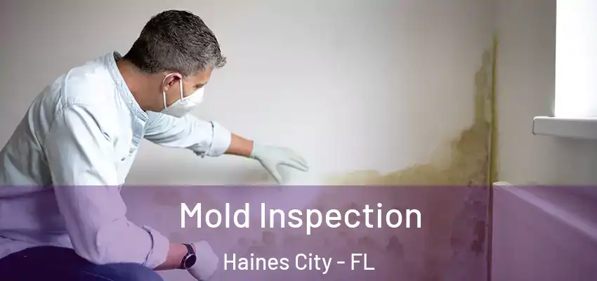 Mold Inspection Haines City - FL