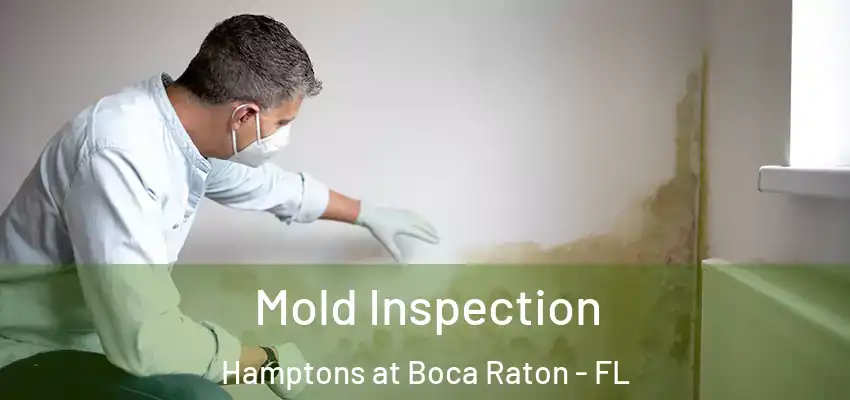  Mold Inspection Hamptons at Boca Raton - FL