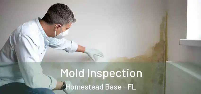 Mold Inspection Homestead Base - FL