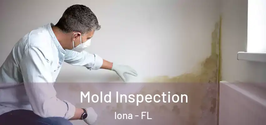 Mold Inspection Iona - FL