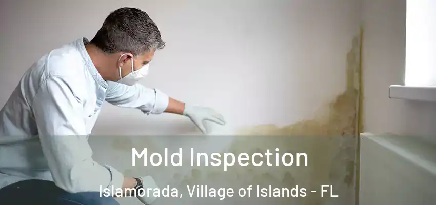 Mold Inspection Islamorada, Village of Islands - FL