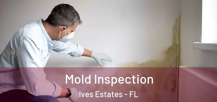 Mold Inspection Ives Estates - FL