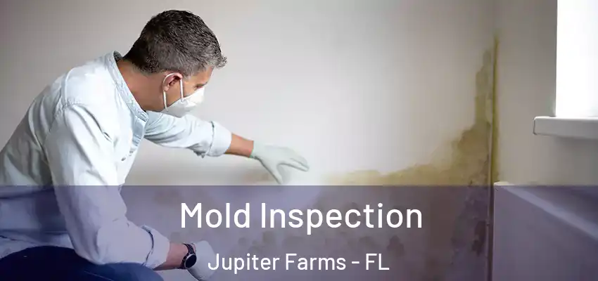  Mold Inspection Jupiter Farms - FL