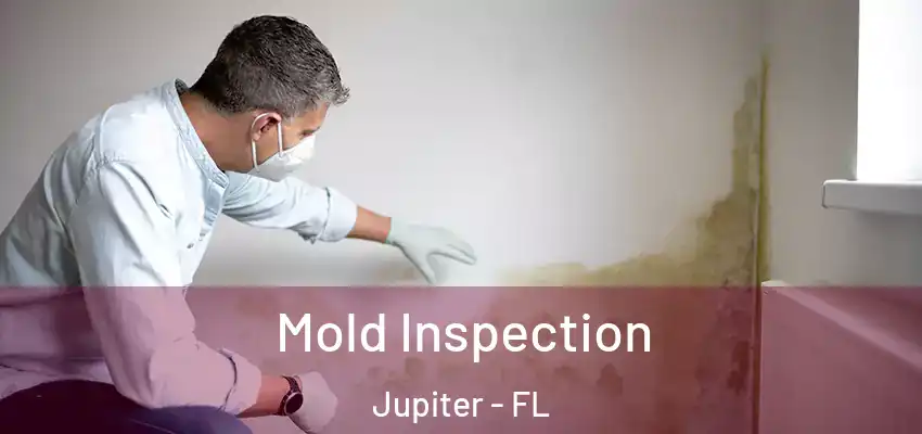  Mold Inspection Jupiter - FL