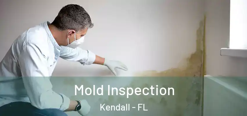 Mold Inspection Kendall - FL