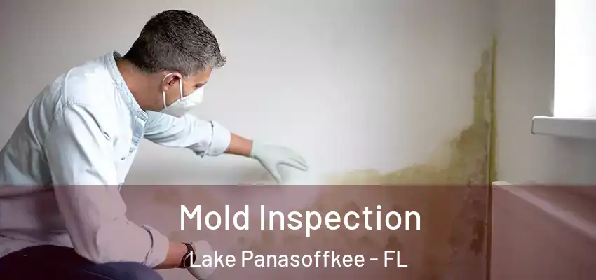 Mold Inspection Lake Panasoffkee - FL