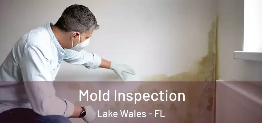  Mold Inspection Lake Wales - FL