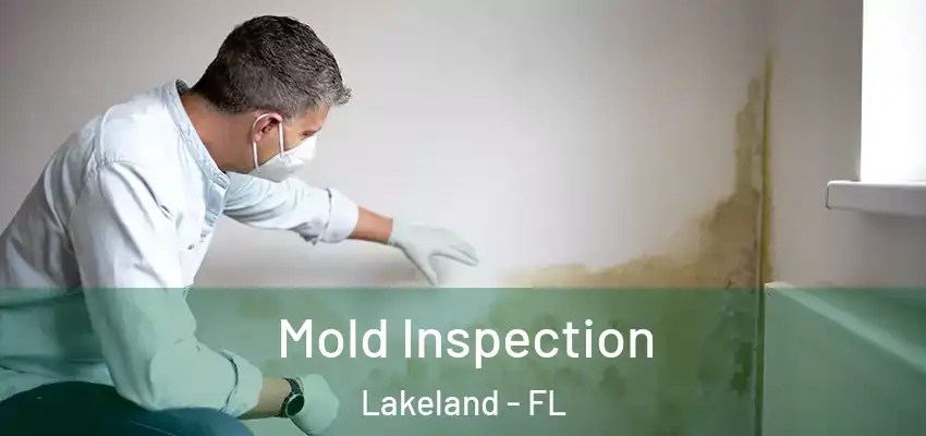  Mold Inspection Lakeland - FL