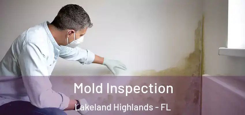  Mold Inspection Lakeland Highlands - FL