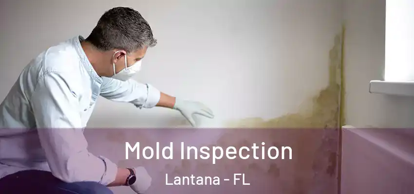  Mold Inspection Lantana - FL