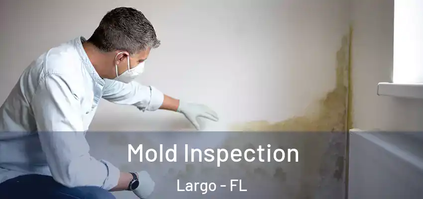 Mold Inspection Largo - FL
