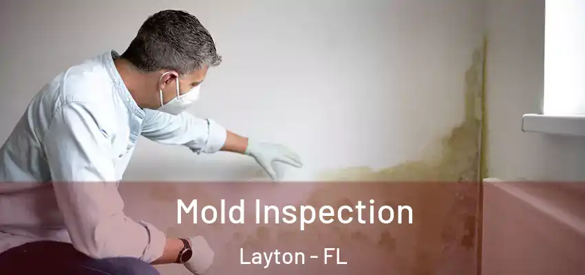 Mold Inspection Layton - FL