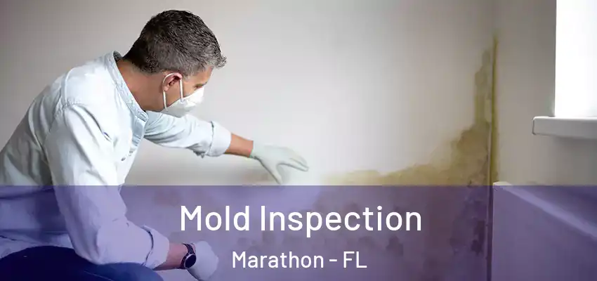 Mold Inspection Marathon - FL