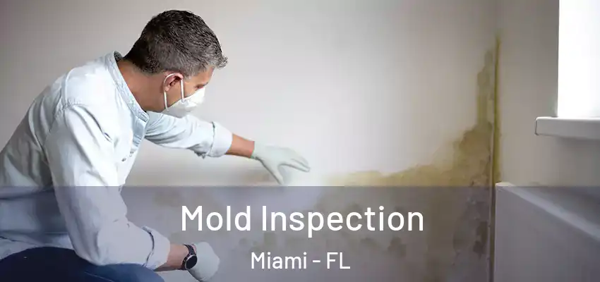 Mold Inspection Miami - FL