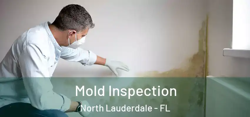  Mold Inspection North Lauderdale - FL