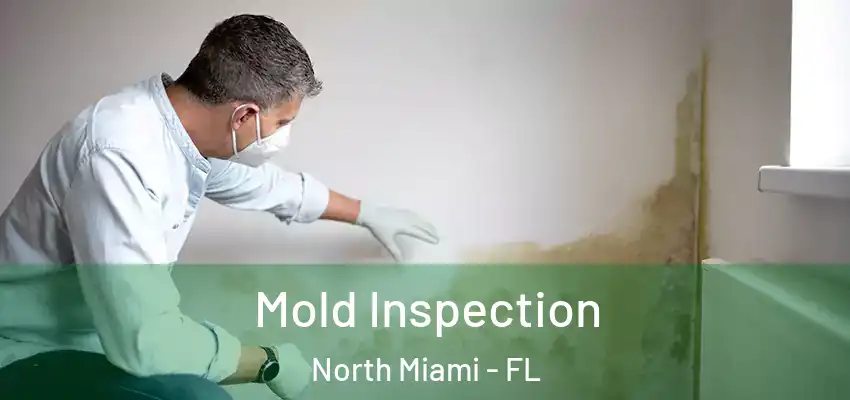 Mold Inspection North Miami - FL