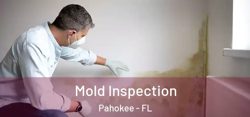  Mold Inspection Pahokee - FL