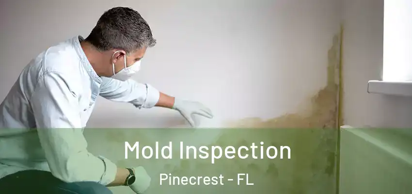 Mold Inspection Pinecrest - FL