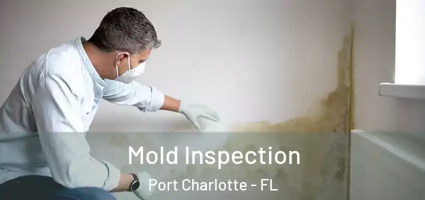 Mold Inspection Port Charlotte - FL